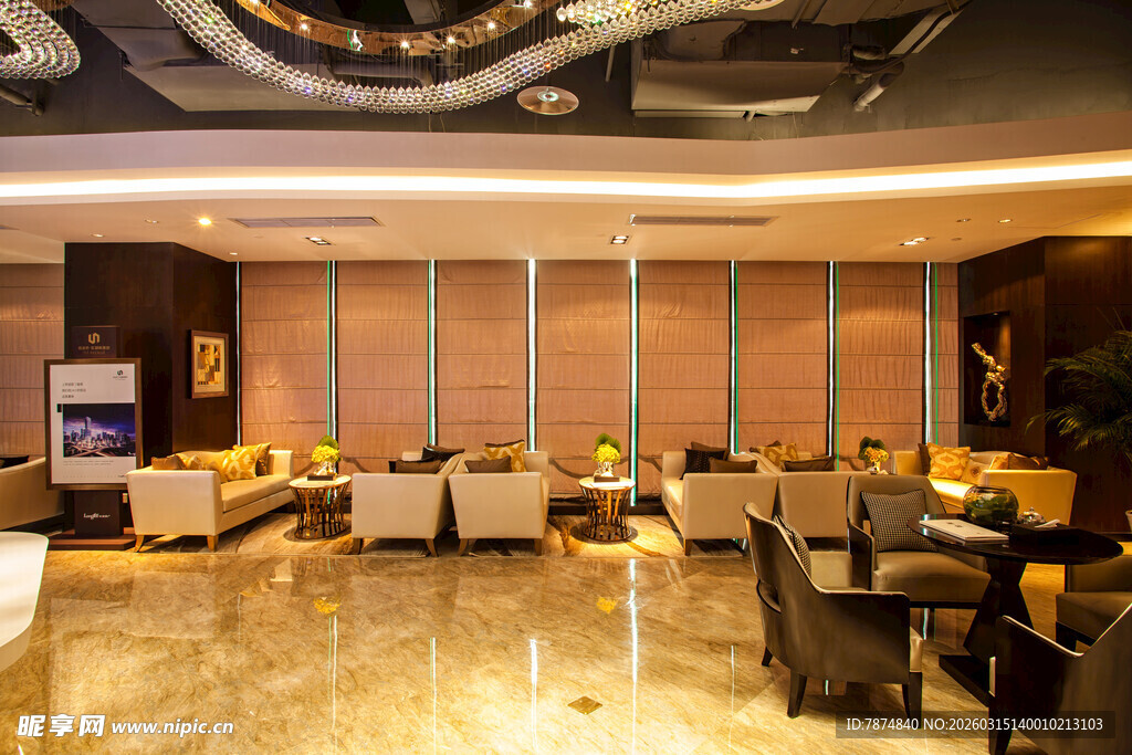 豪华现代风格的休闲大厅