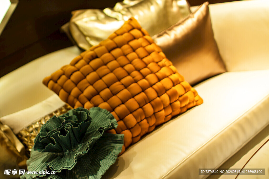 奢华抱枕装点舒适沙发