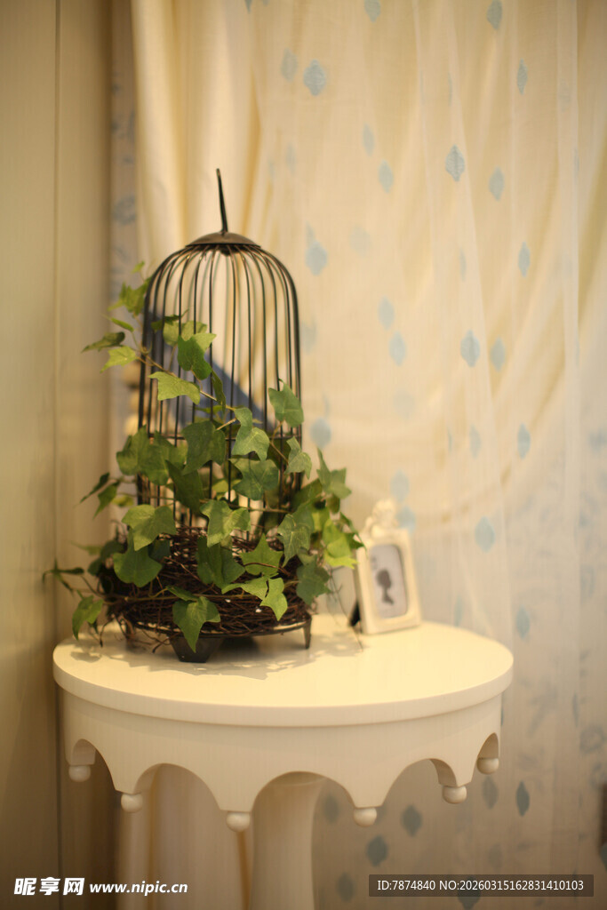 鸟笼旁绿植装点的温馨角落