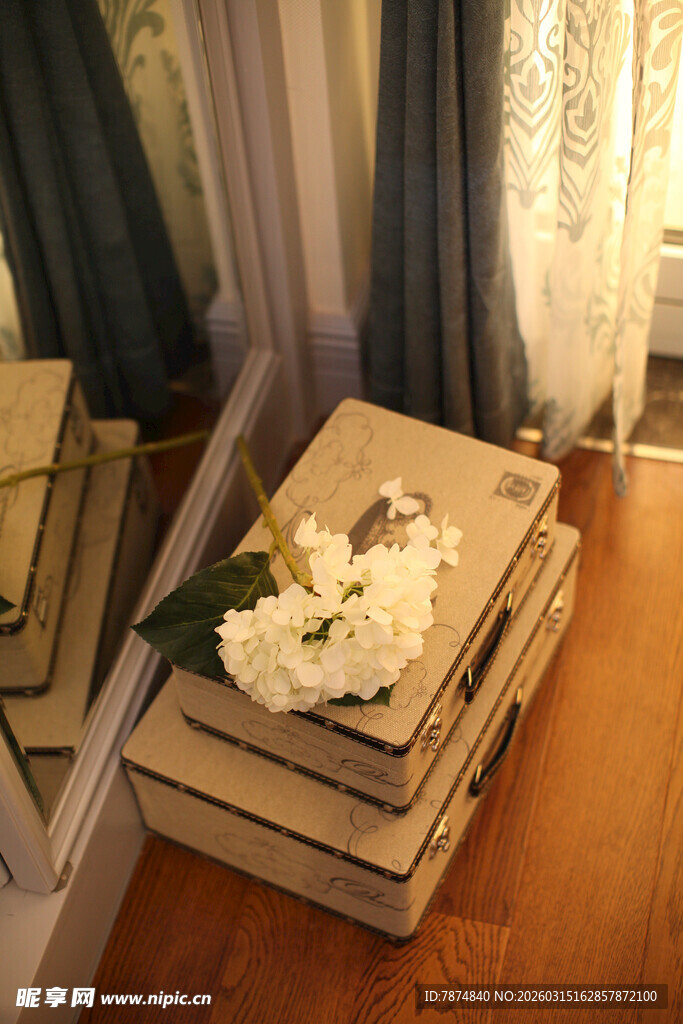 书籍上的白花静谧场景