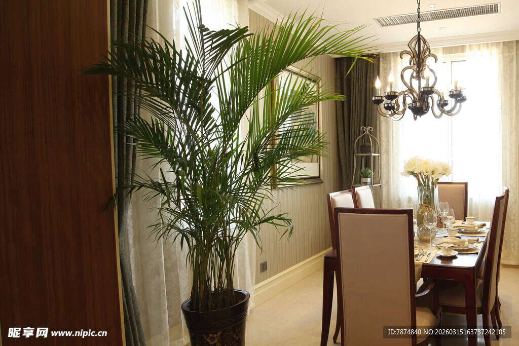 室内绿植装点的温馨餐厅