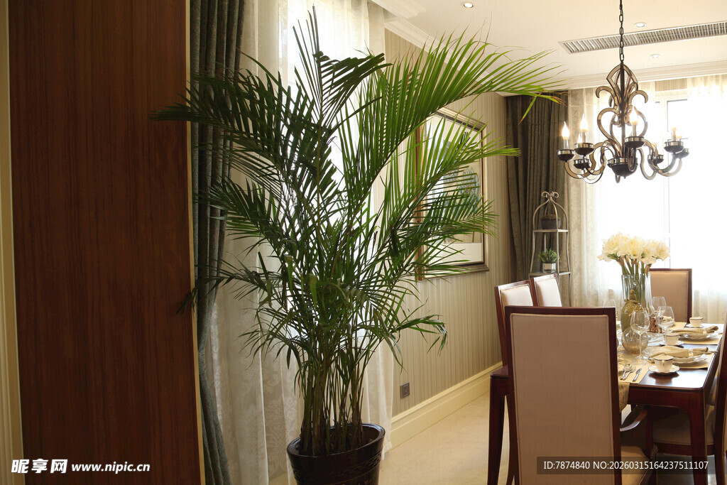 室内绿植装点优雅餐厅空间