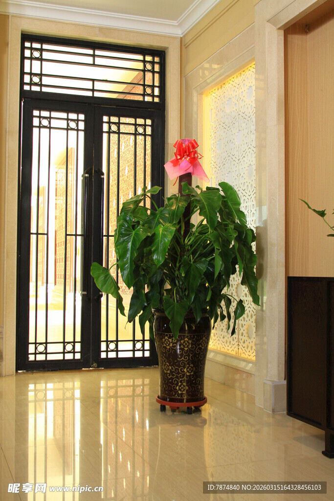 室内绿植与精致金属门