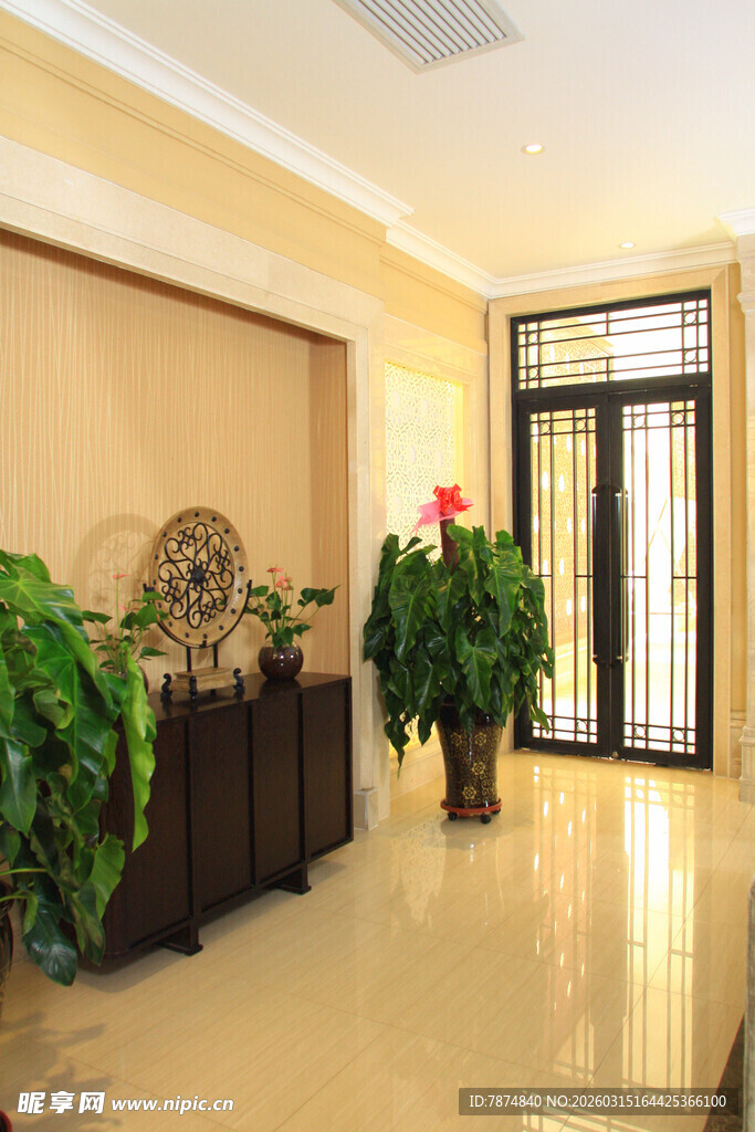 优雅客厅一角绿植装饰