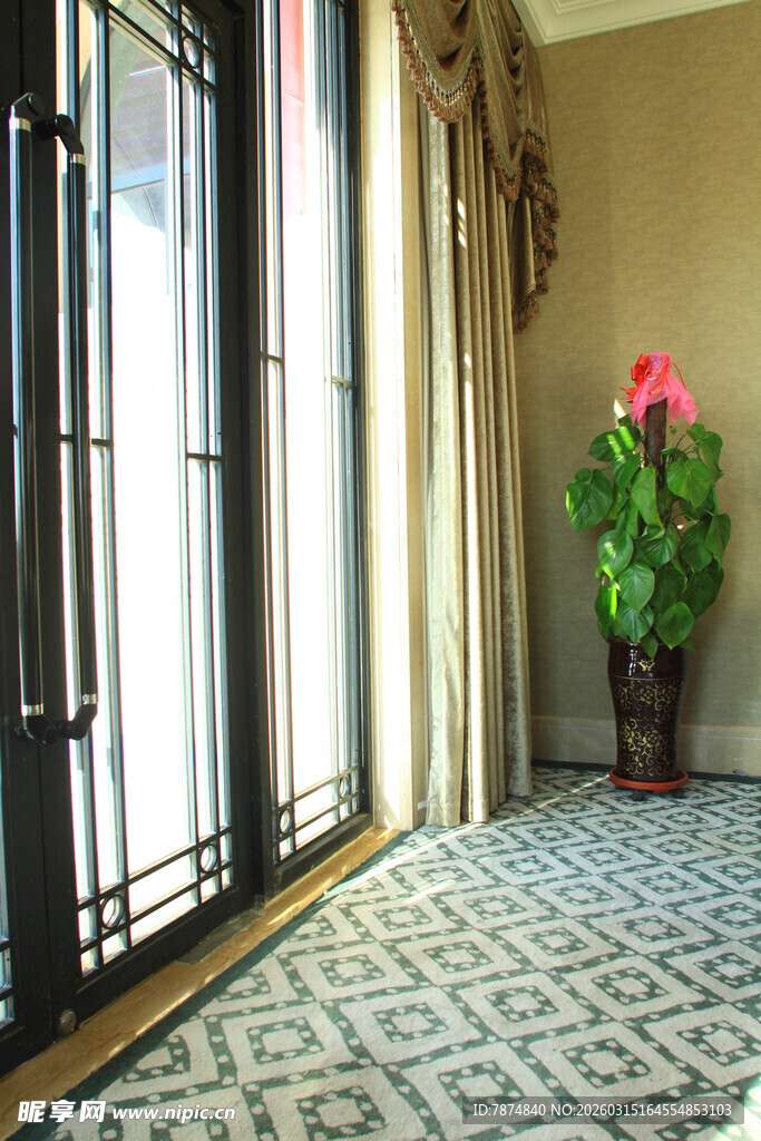 室内雅致走廊与花卉景观