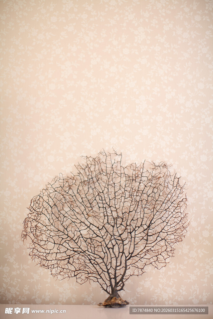 简约枯树装饰艺术摆件