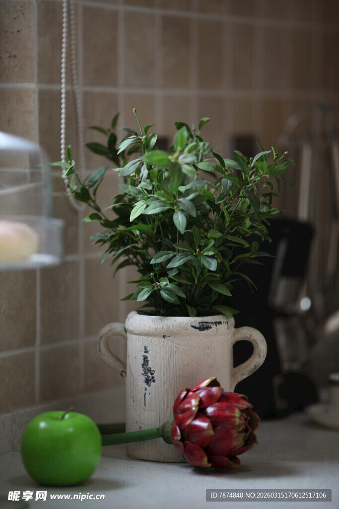 白杯绿植搭配厨房小物