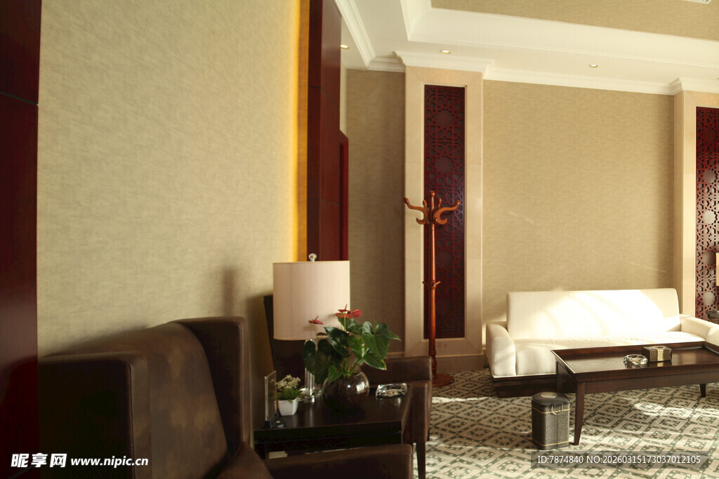 豪华客厅室内优雅场景