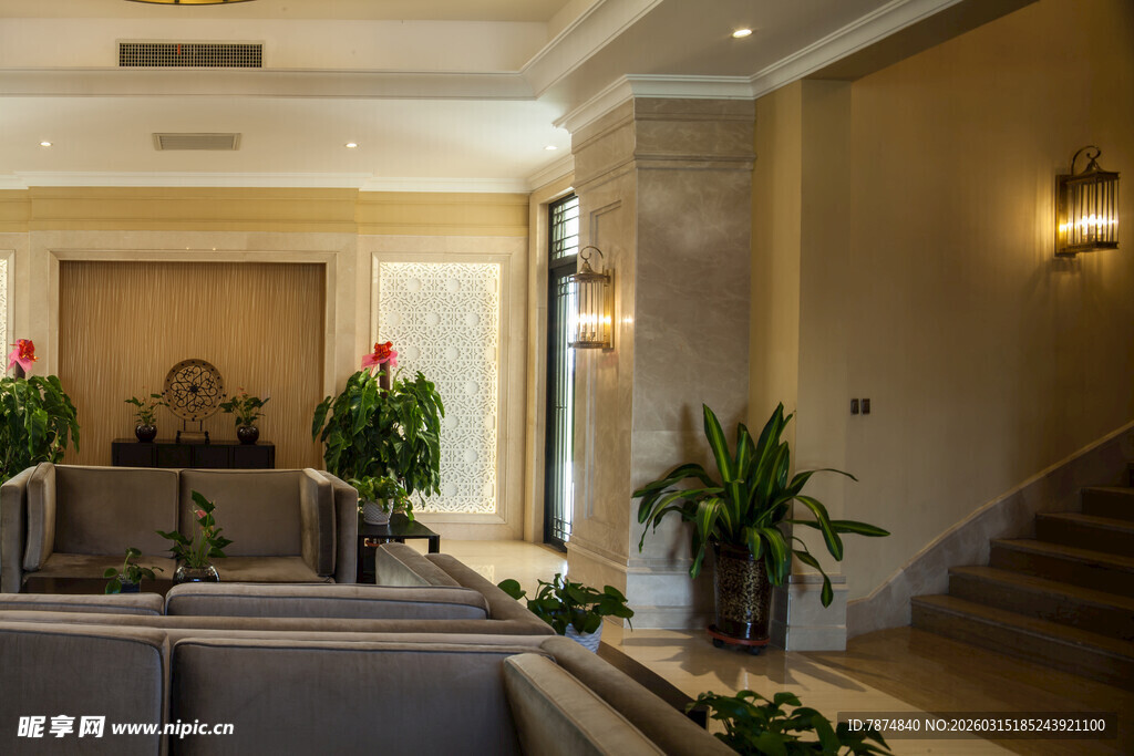 豪华室内客厅与绿植布置