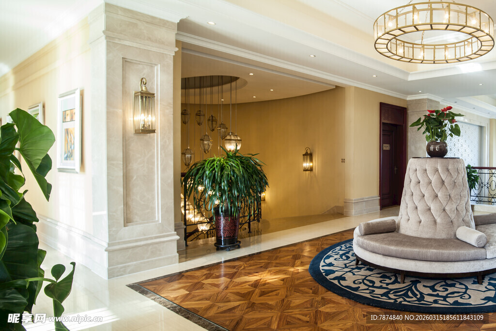 豪华典雅的室内门厅空间