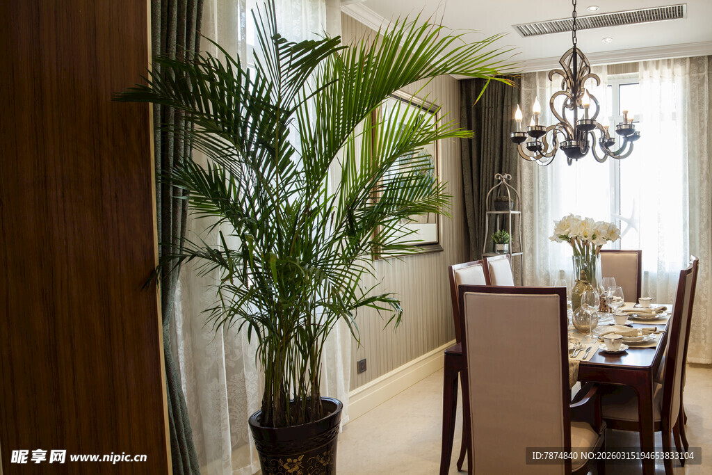 室内绿植装点温馨用餐空间