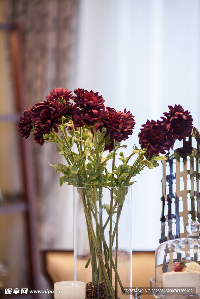 深红花朵插于简约花瓶