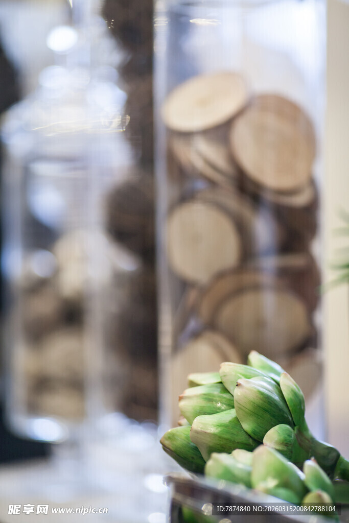 罐装木片与新鲜绿植