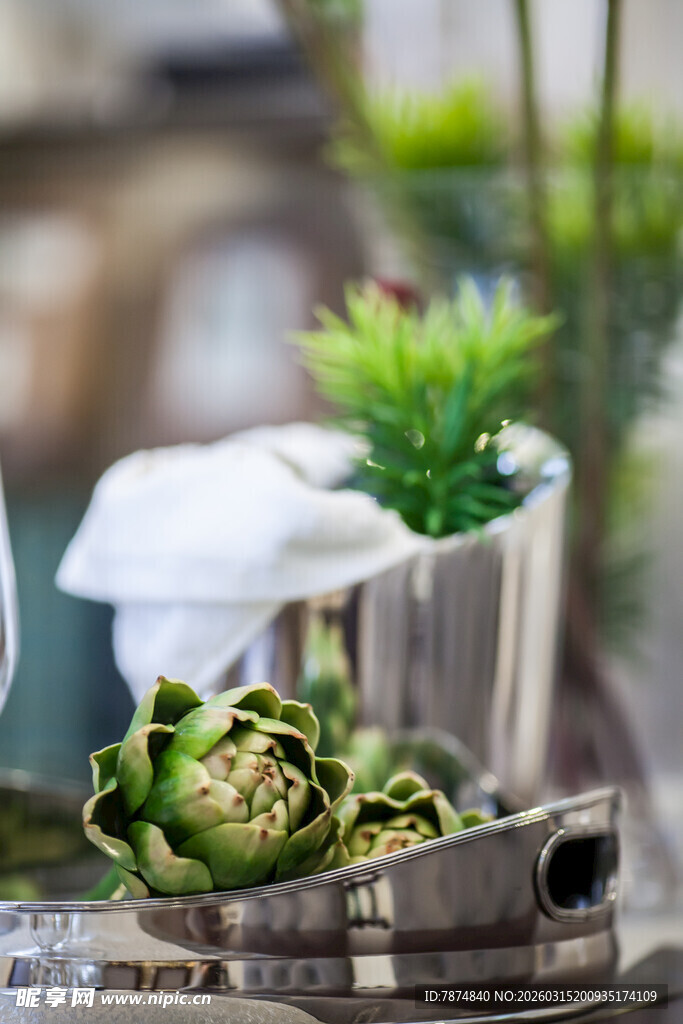 精致多肉盆栽与园艺工具