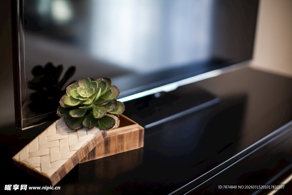 电视旁的精致多肉小摆件