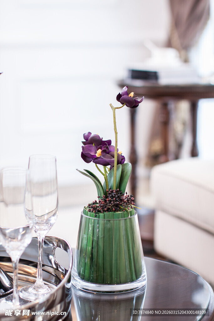 桌上绿植盆栽 紫色花朵绽放