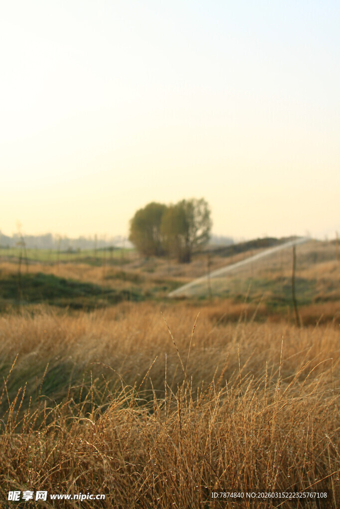 黄昏下的旷野与蜿蜒小路
