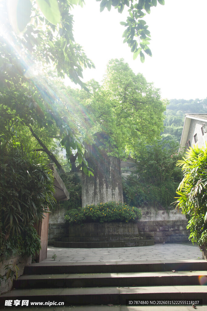 阳光洒落的静谧庭院角落