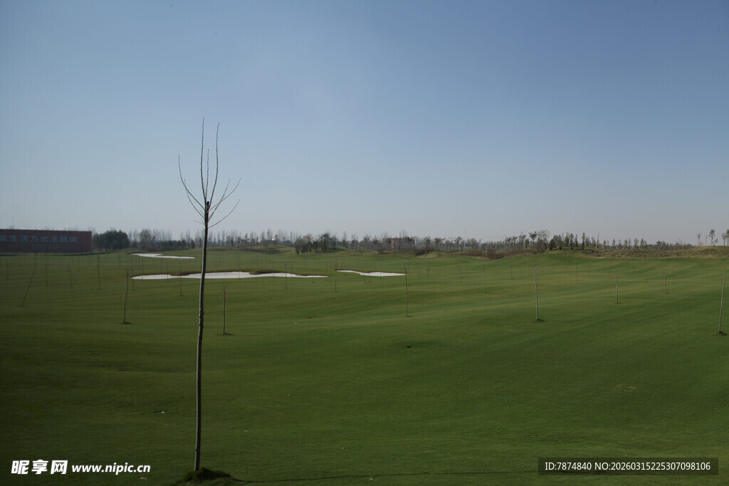 广阔高尔夫球场风景