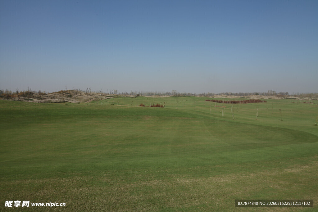 绿茵高尔夫球场风景