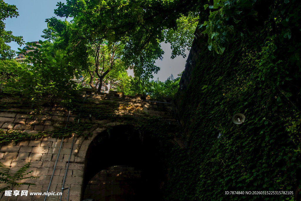 绿荫环绕的古老石拱洞口