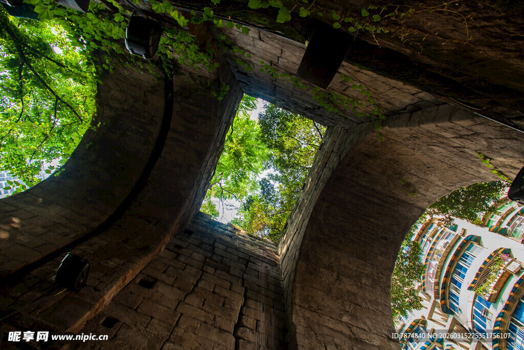 古建天窗映绿意