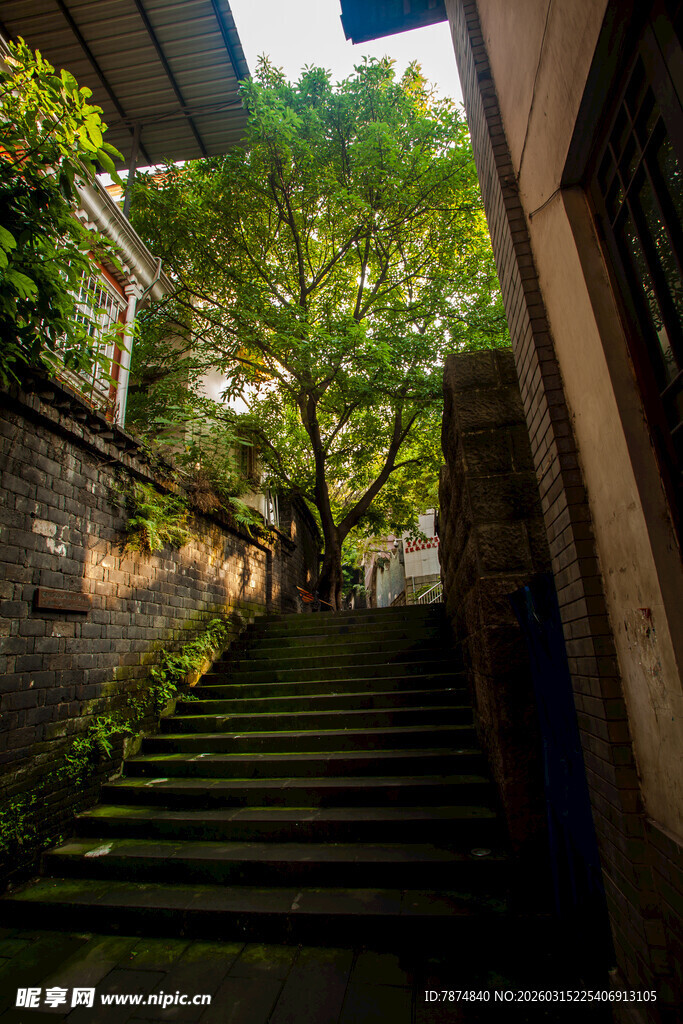 绿荫下的静谧石阶小巷