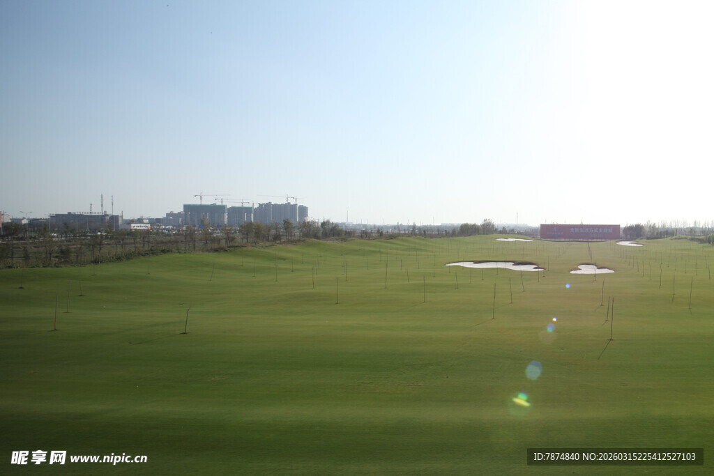 阳光照耀下的开阔绿色草坪