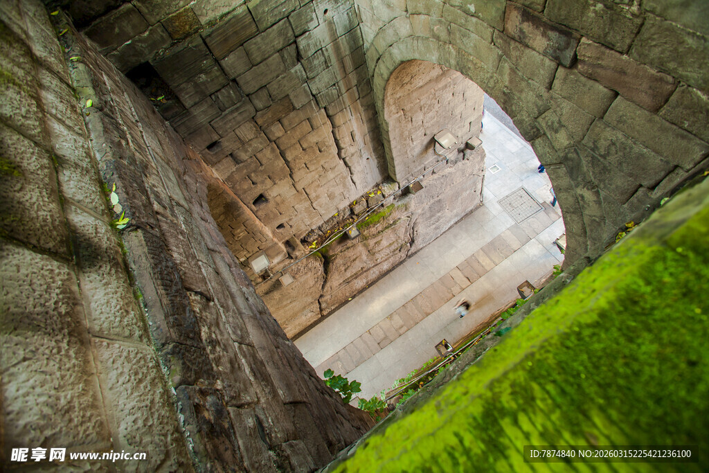 石缝间的一抹绿意