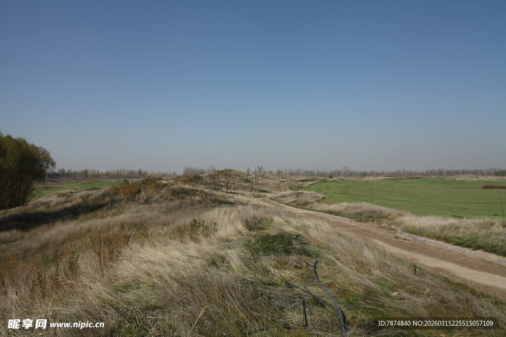 田野间的开阔土路风光