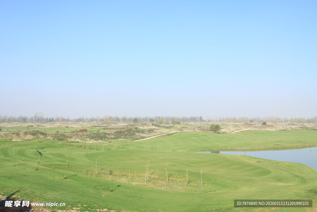 广阔绿野中的静谧湖泊