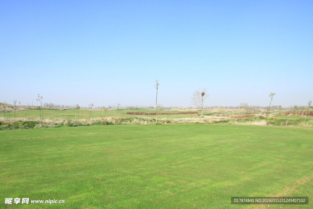 广袤绿草地 远处电线杆