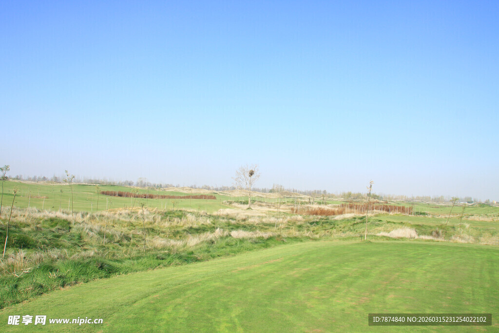 广阔绿野中的风车景观