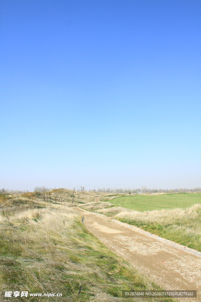 旷野中的蜿蜒土路