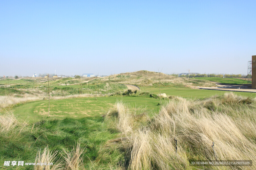 草原上的羊群与自然风光