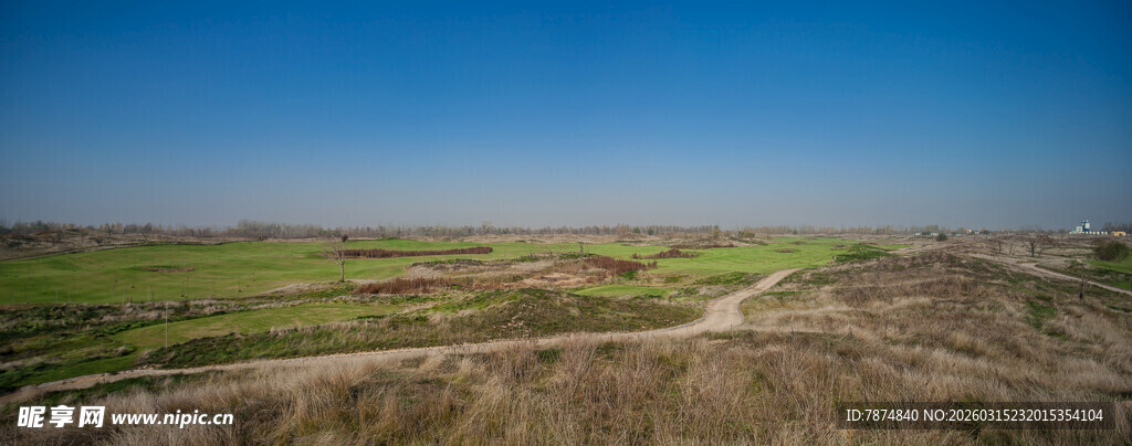 广袤田野风光