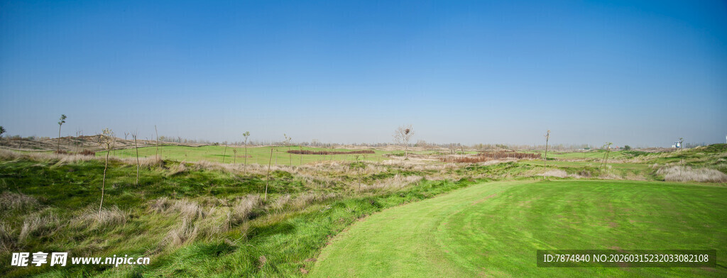 翠绿草地与蓝天美景