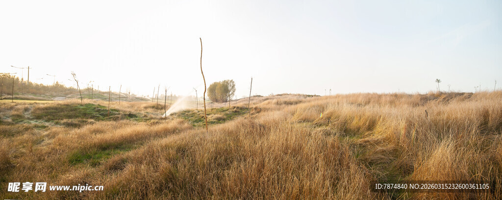 秋日旷野风光