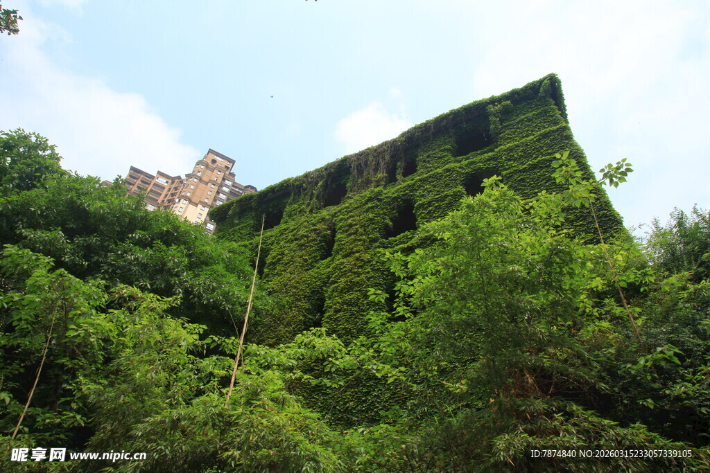 绿植覆盖的建筑外观