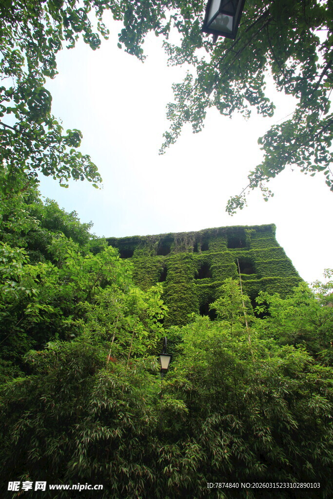 被绿植覆盖的古老建筑