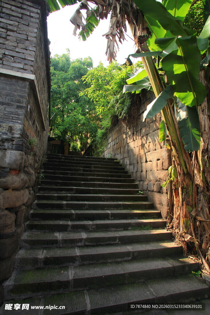 石梯小道 绿植环绕的静谧处