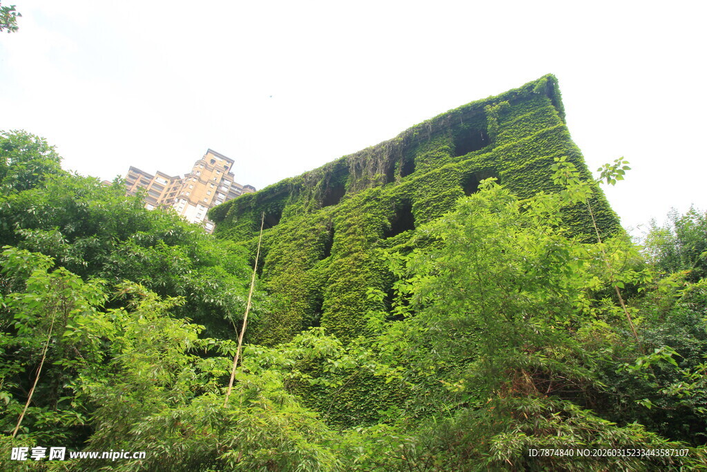 被绿植覆盖的废弃建筑