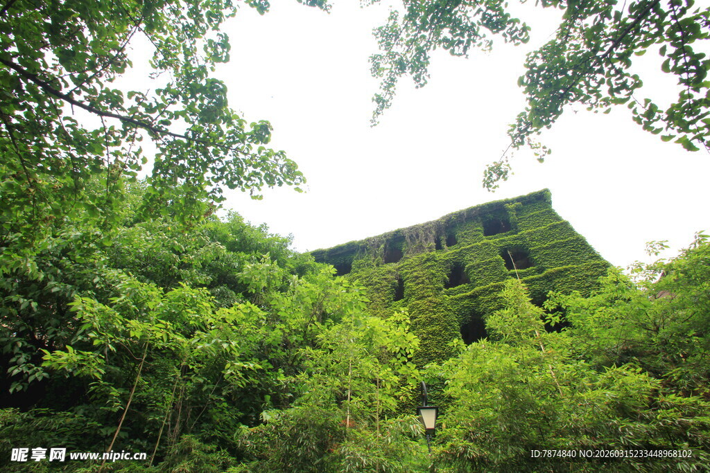 绿树环绕的老旧建筑