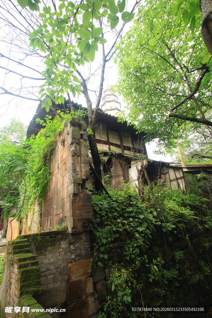 古宅隐于繁茂绿树间