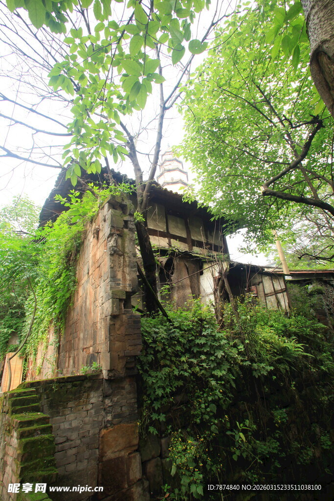 荒废古宅被绿植环绕