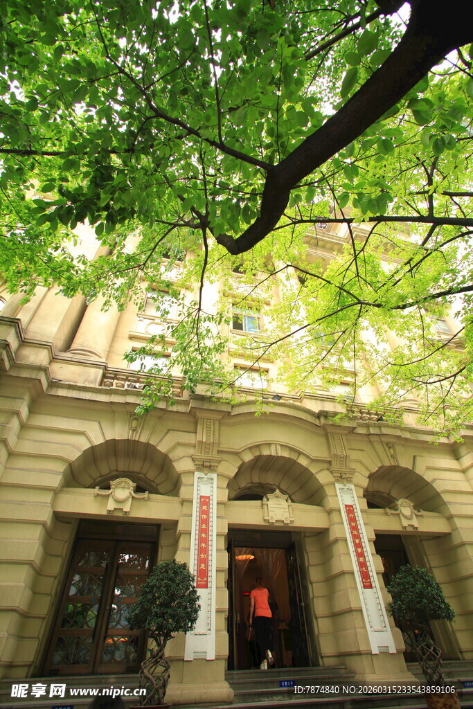 绿荫下的古典建筑