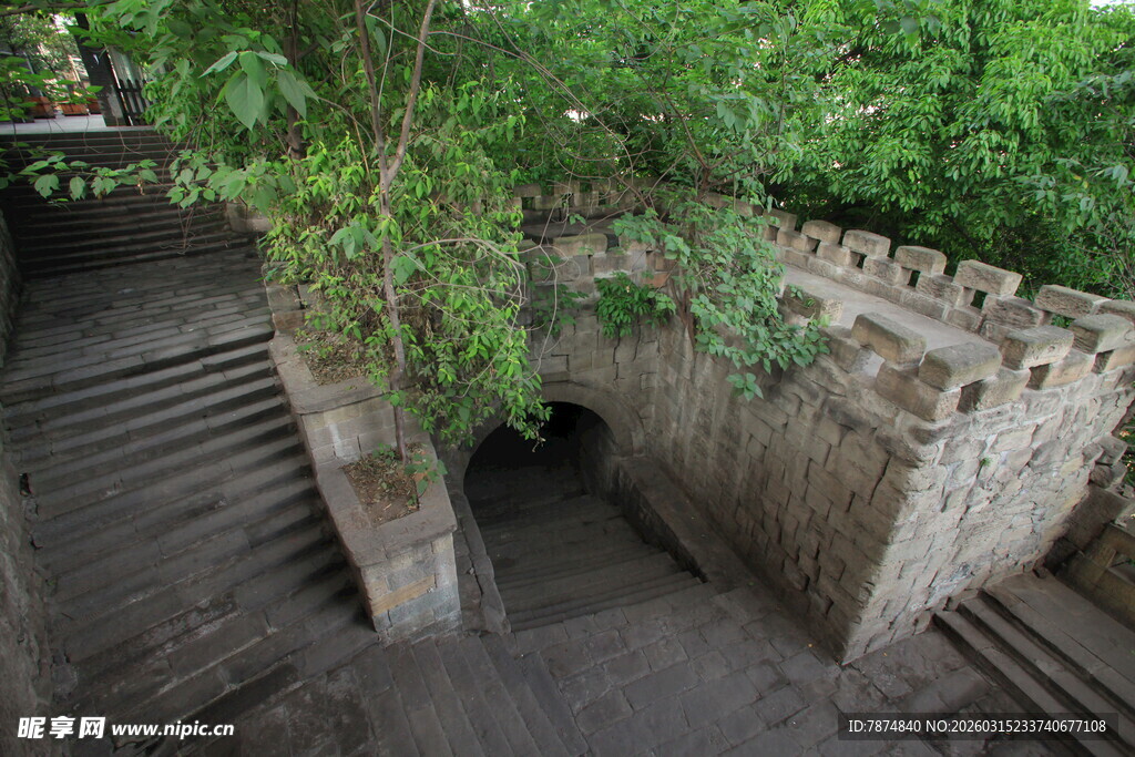 古老石墙旁的绿意通道