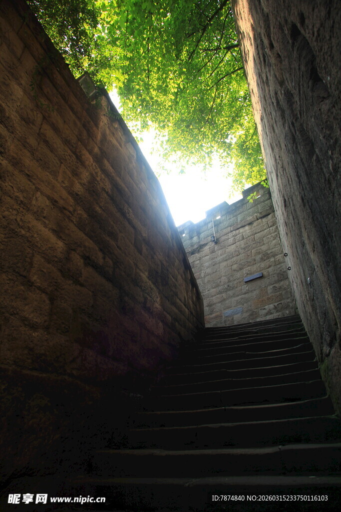 石梯尽头的绿意天光