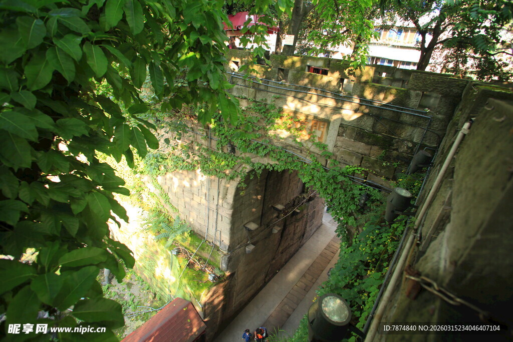 绿植环绕的户外隐秘小径