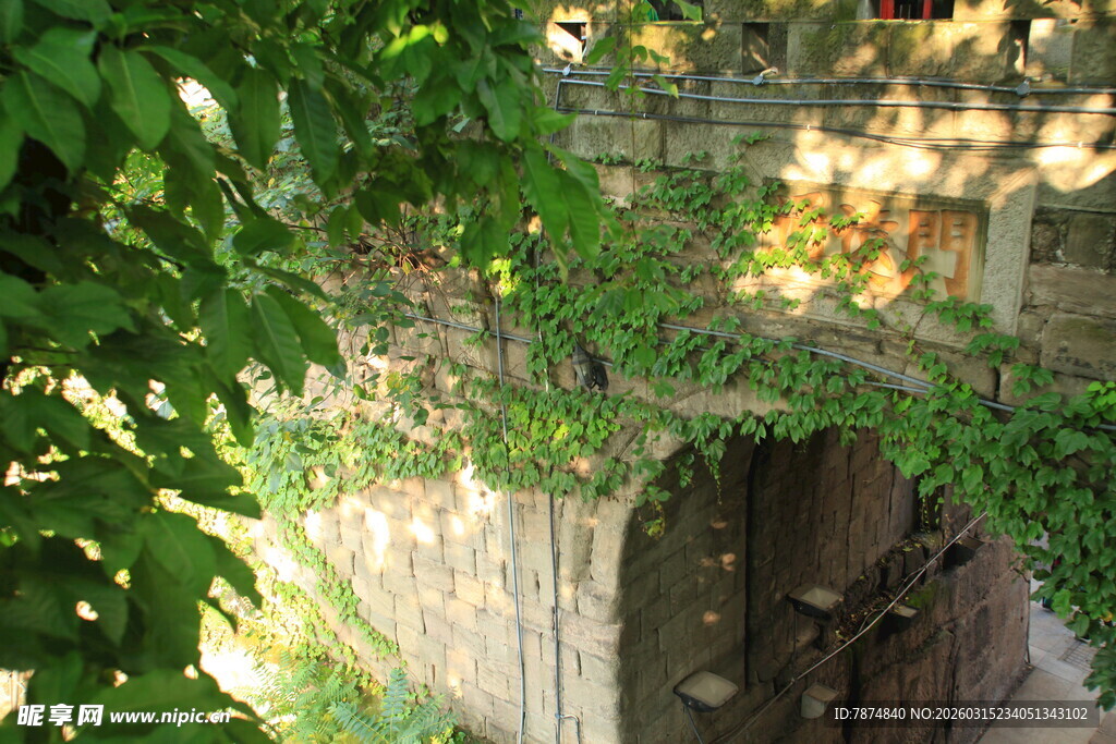 藤蔓缠绕的古朴石门